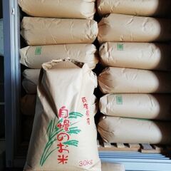 令和3年産　ひのひかり 玄米　30kg　 農家のお米です