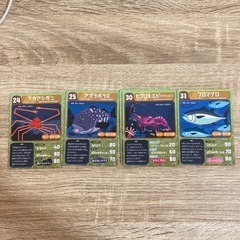 【シーラカンス】アクアマリンふくしま　ふくしまのさかなたちカード交換依頼の画像