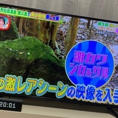 YAMAZEN 山善 43型 テレビ フルハイビジョン