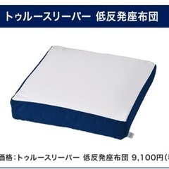 トゥルースリーパー 低反発座布団とミニトゥルースリーパー
