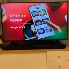 アイリスオオヤマ　2020年　55インチ