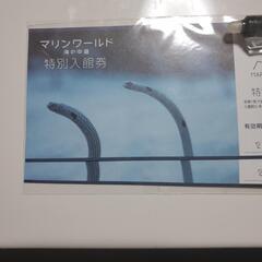 マリンワールド　海の中道　ペアチケット