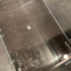 華蕾めだか稚魚　15匹プラスα