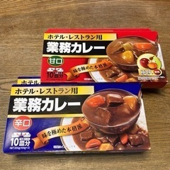 業務カレー‼︎