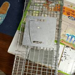 ottostyle.jp 動物用捕獲器 アニマルトラップ 踏み板...