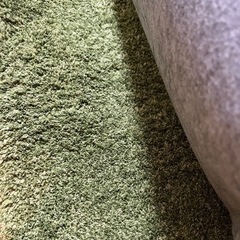 ラグ　カーペット　200×290