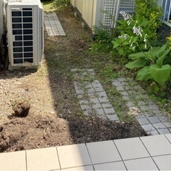 明日6月7日３時間ほどタイルの目地入れを手伝って頂けませんでしょうか？