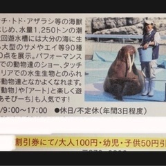  🐬最大500円割引🐬うみたまご    割引券  🐬5名まで割引可能🐬の画像