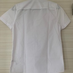 男子半袖スクールシャツの画像