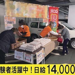 日給14,000スタート★高収入スタッフ★短期・単発OK！未経験...