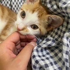 ❤️保護したチビーズたち❤️