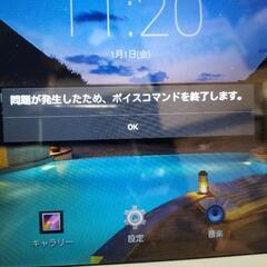 ジャンクメデアティック10．1インチの画像