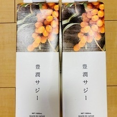 豊潤サジー(1000ml)×2本セット