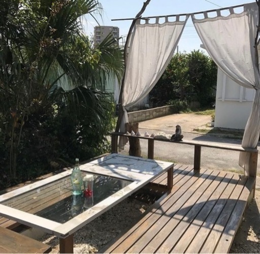 沢山のお問い合わせありがとうございました！お譲り先決まりました！