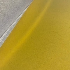 【急募】トゥルースリーパーの画像