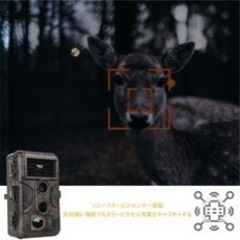 【Trail camera Agitato】 人感センサー防犯カメラ【未使用新品】の画像