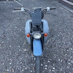 SUZUKI バーディ50