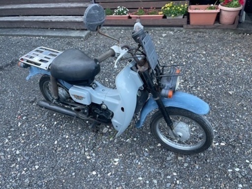 SUZUKI バーディ50