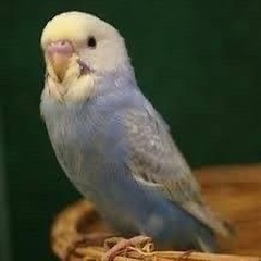 時計修理できる人いませんか？