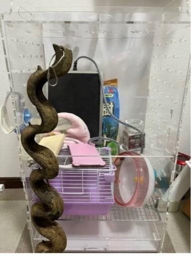 アクリルケージ　飼育セット