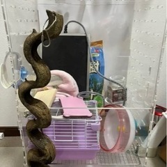 アクリルケージ　飼育セット