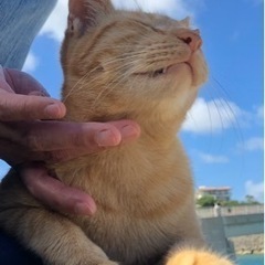 一人で不安な方に付き添います　ちょっとした修繕もね