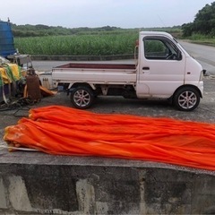 シーアンカーの画像