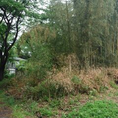 所有地が何処にあるのか分からない - 那須塩原市
