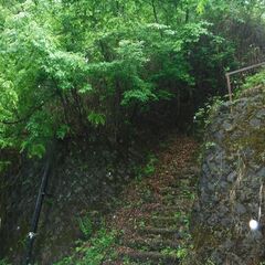 所有地が何処にあるのか分からない − 栃木県