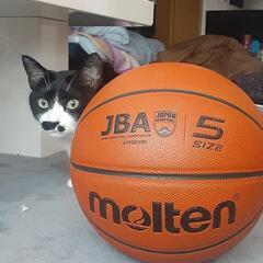 バスケ🏀やりましょう