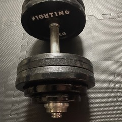 ダンベル　30kg  引取り限定