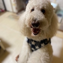動物好きな人友達になりましょ✨