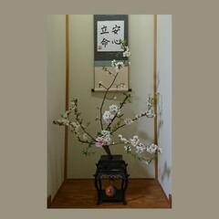 いけばな(格花・挿花)の画像