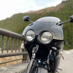 ns-1
