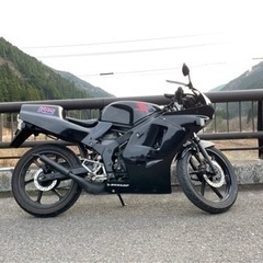 ns-1の画像