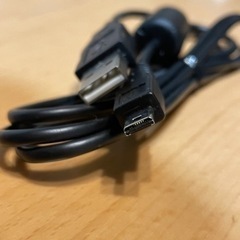 USB接続ケーブル 黒 わかる方どうぞ の画像