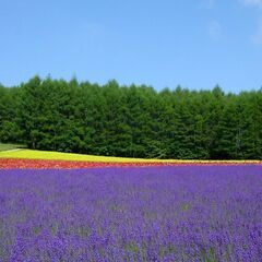 アヴァロンダイアモンド波動セラピー　梅雨を楽しく過ごそう期間限定...