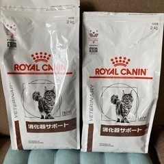 ロイヤルカナン　猫用　消化器サポート　2kg×2個　おまけ付き