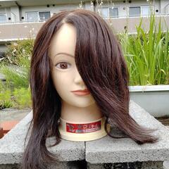 練習用カットマネキン