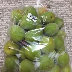 南高梅 中 1kg