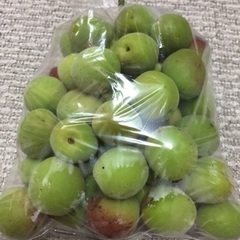 南高梅 中 1kgの画像