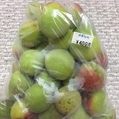 南高梅 大 1kg