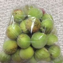 南高梅 大 1kgの画像