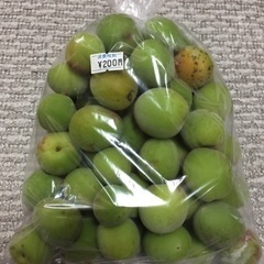 南高梅 小 1kg