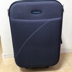キャリーバック