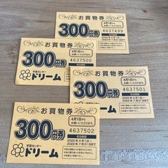 ドリーム　お買い物券