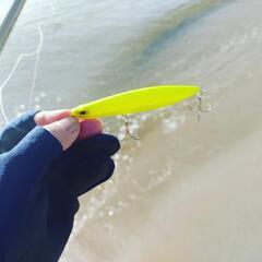 三重、福井でルアーで釣りまくる仲間募集します！ − 三重県