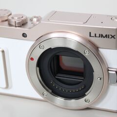Panasonic/LUMIX/DC-GF10/ミラーレス一眼 ⑤の画像