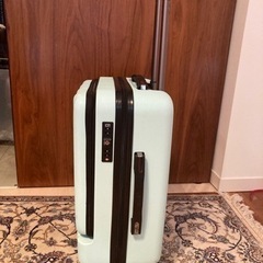 (最終値下げ)【訳あり】CALPAK Carry-On スーツケースの画像
