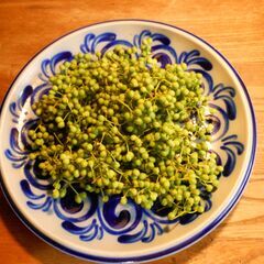 天然 山椒の実 　100ｇ 山菜 佃煮　実山椒 ちりめん山椒 鮮...